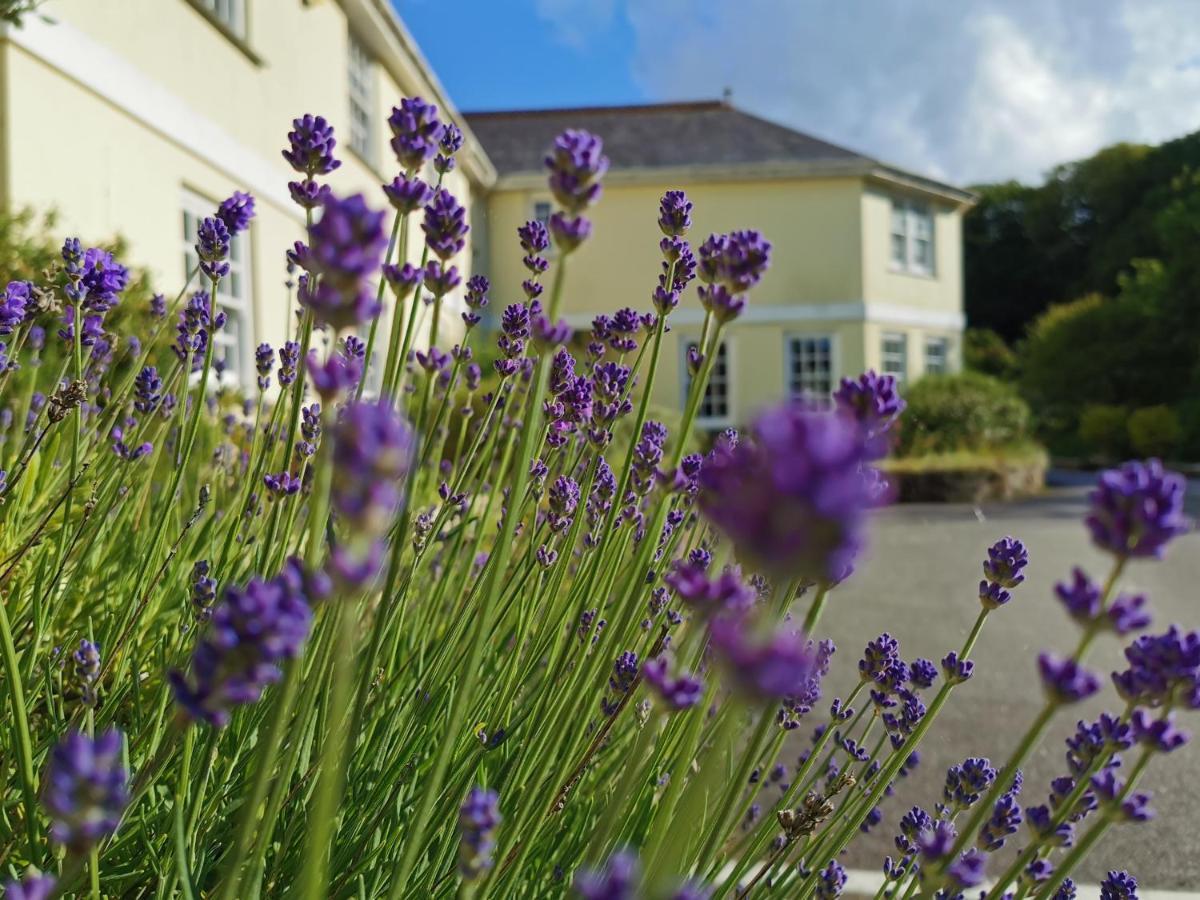 Rose In Vale Country House Hotel St Agnes  Extérieur photo