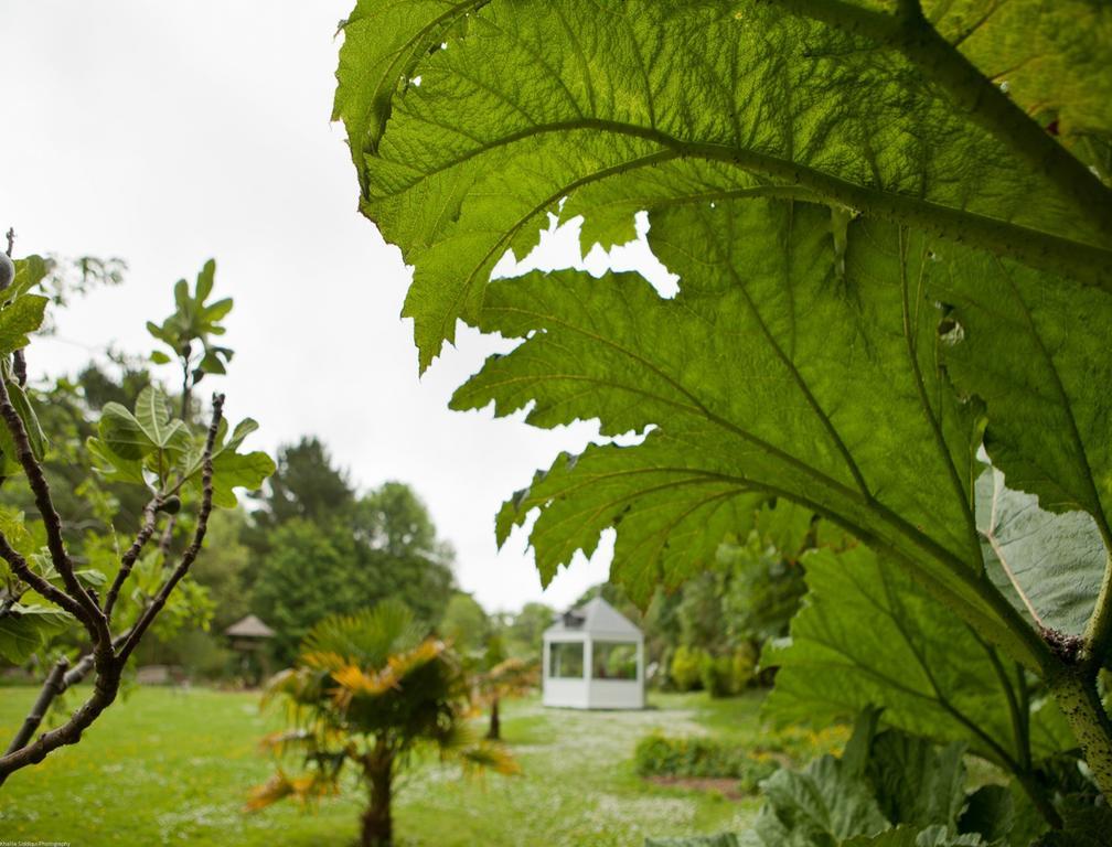 Rose In Vale Country House Hotel St Agnes  Extérieur photo